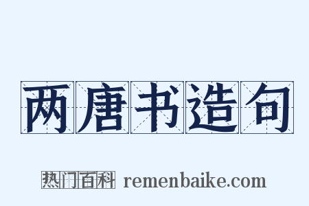 两唐书造句是什么意思的图片